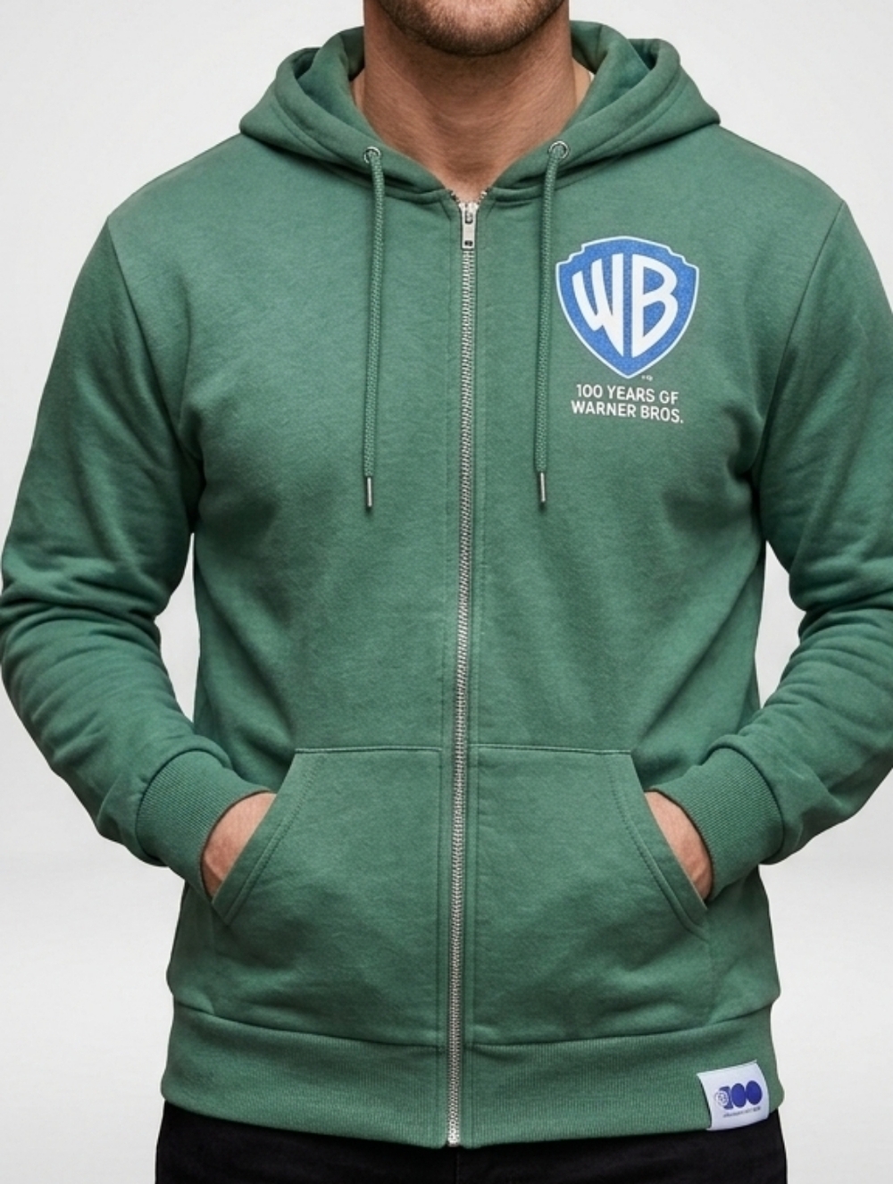 Warner Bros 100 Years Anniversary Hoodie Looney Tunes Men XL Full Zip Sweatshirt